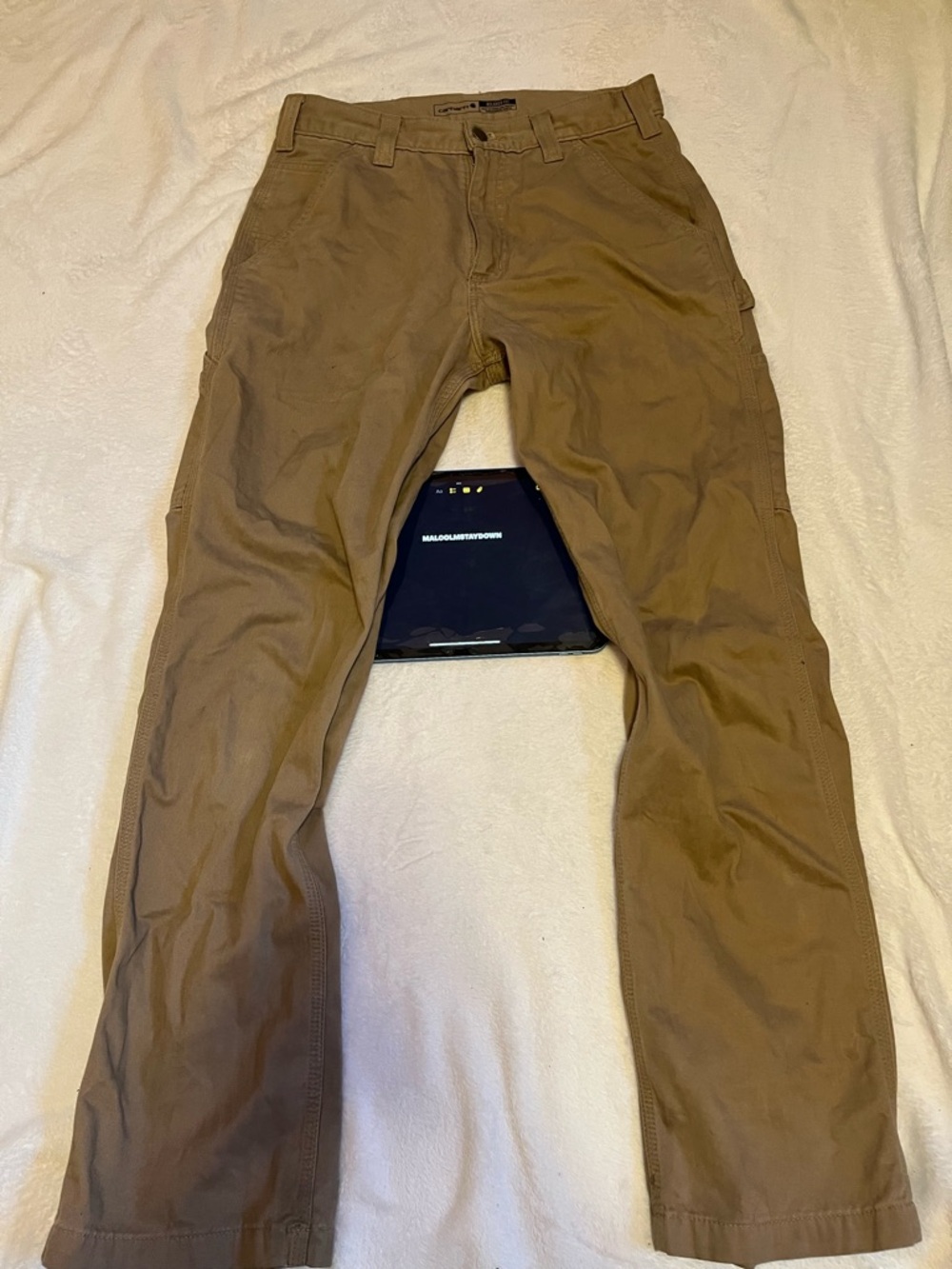 Carhartt Men's Work Cargos